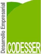 CODESSER