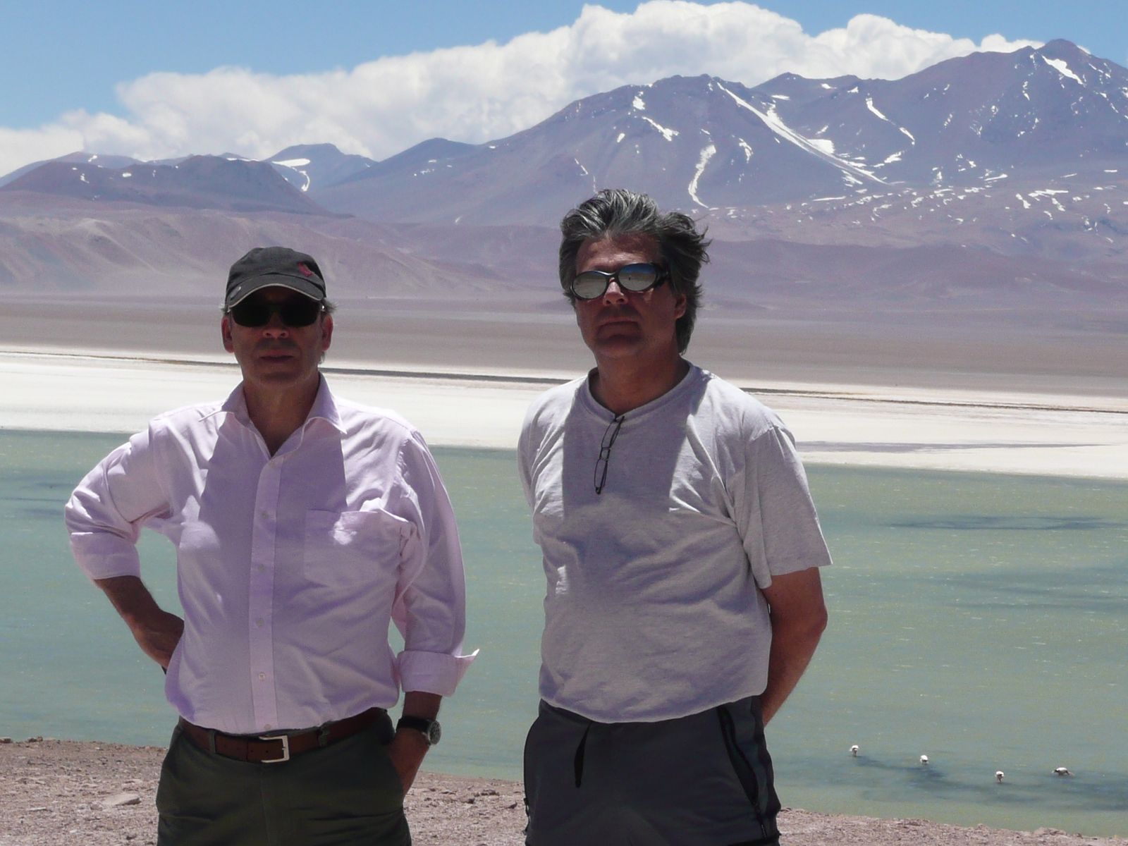 Laguna Santa Rosa, Atacama