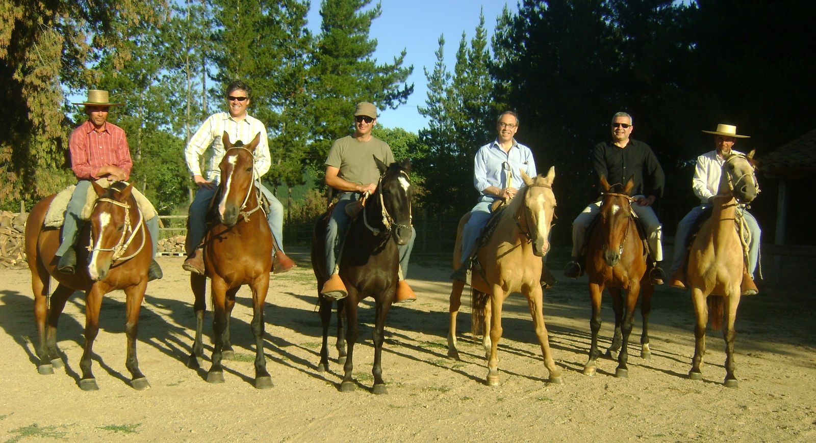 Maule 2011