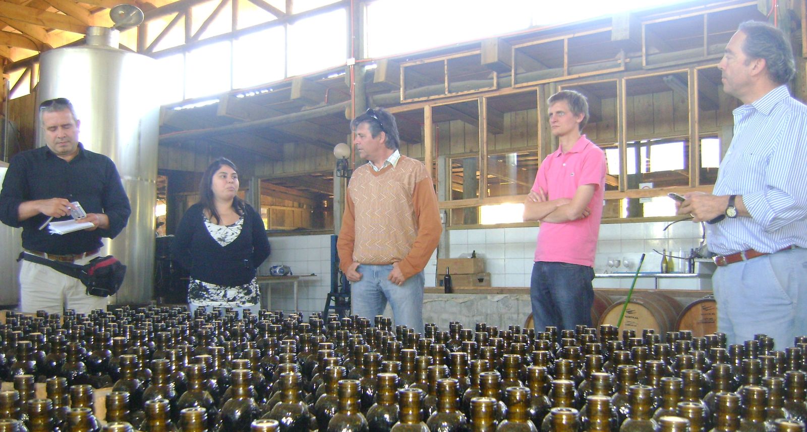 Maule 2011